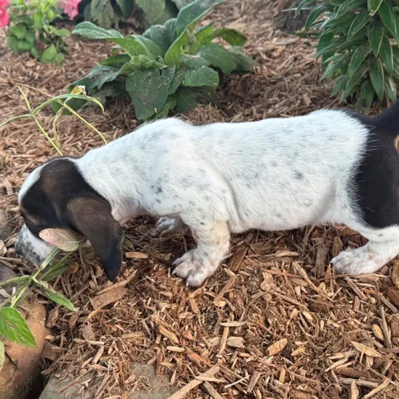 Kammie | image 3