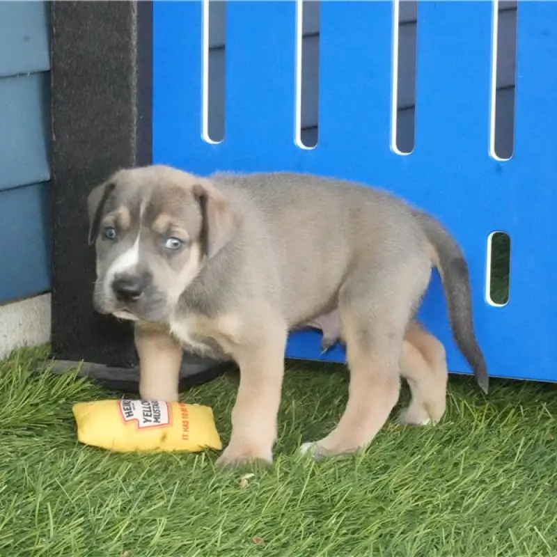 Riley | image 1