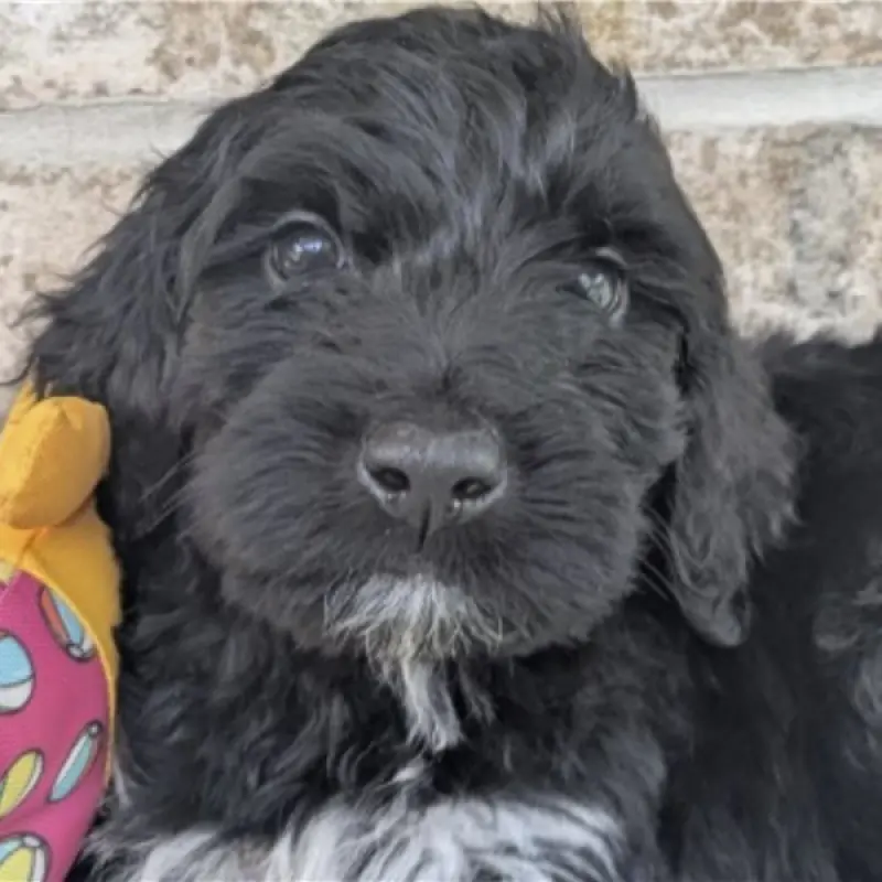Munchie | image 8