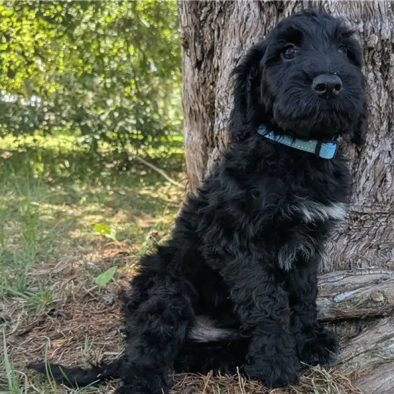 Melvin | image 1