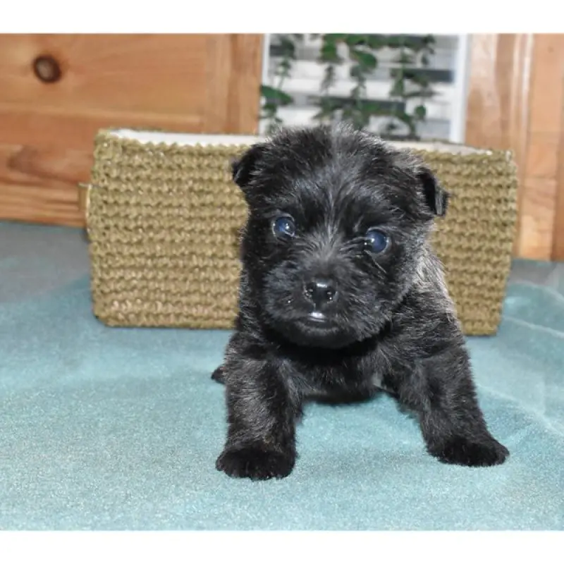 Freya | image 9