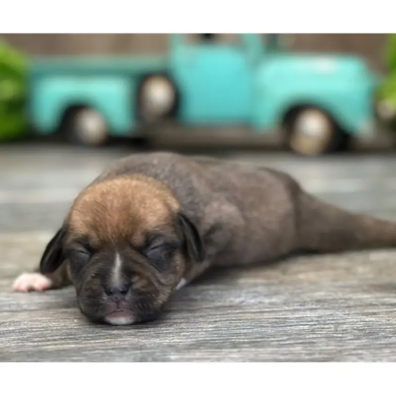 Ben | image 2