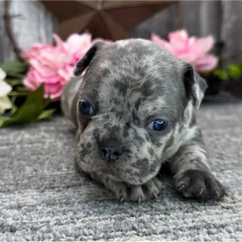 Nathan | image 1