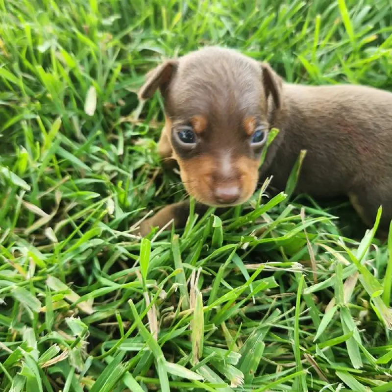 Evelyn | image 4