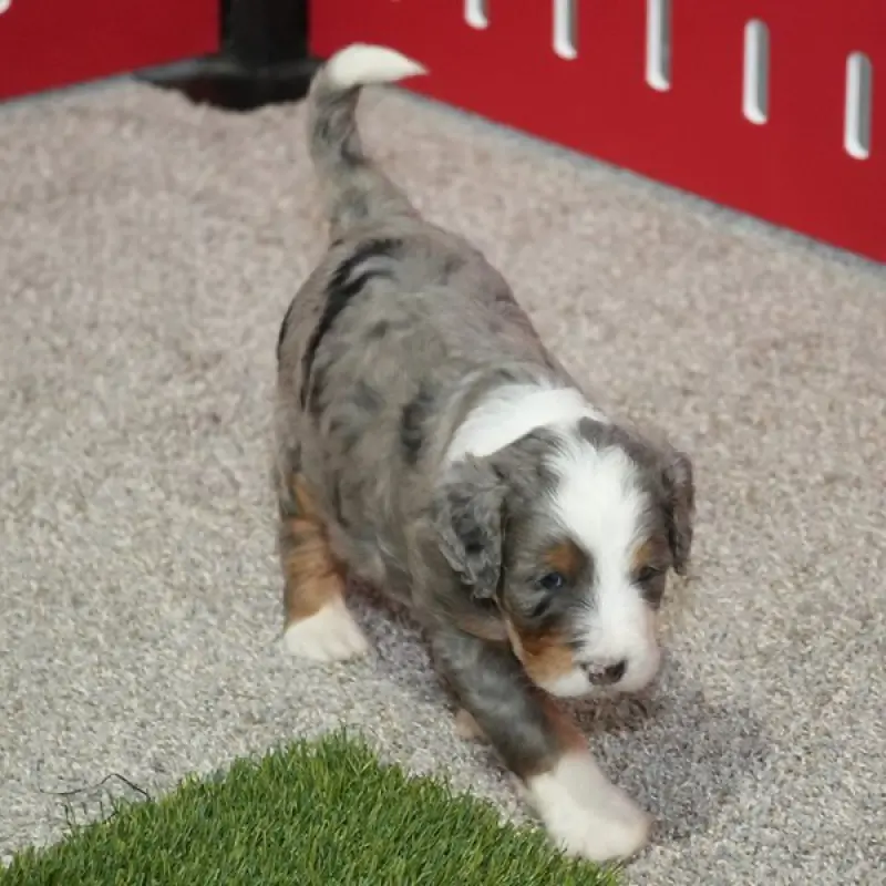 Maggie | image 5