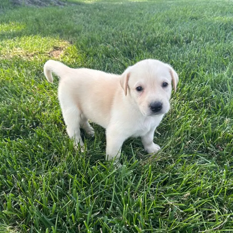 Blink | image 1