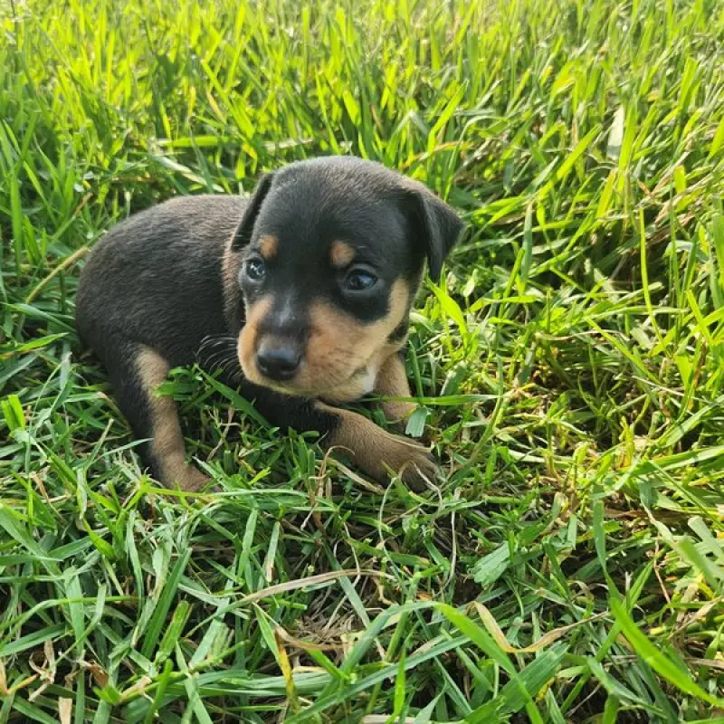 Emma | image 1