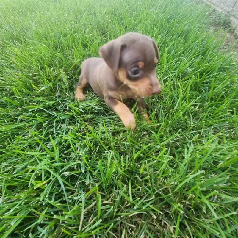 Evelyn | image 2