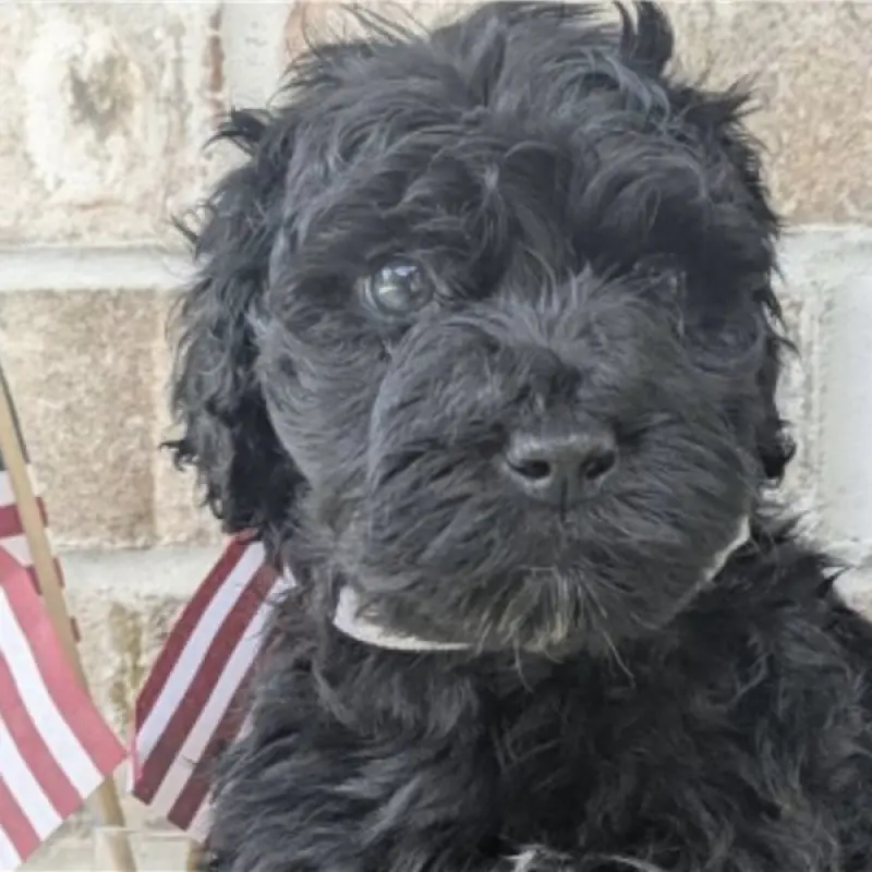 Norm | image 5