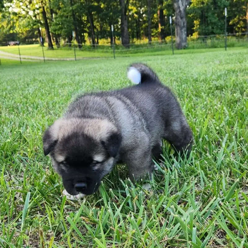 Eric | image 1