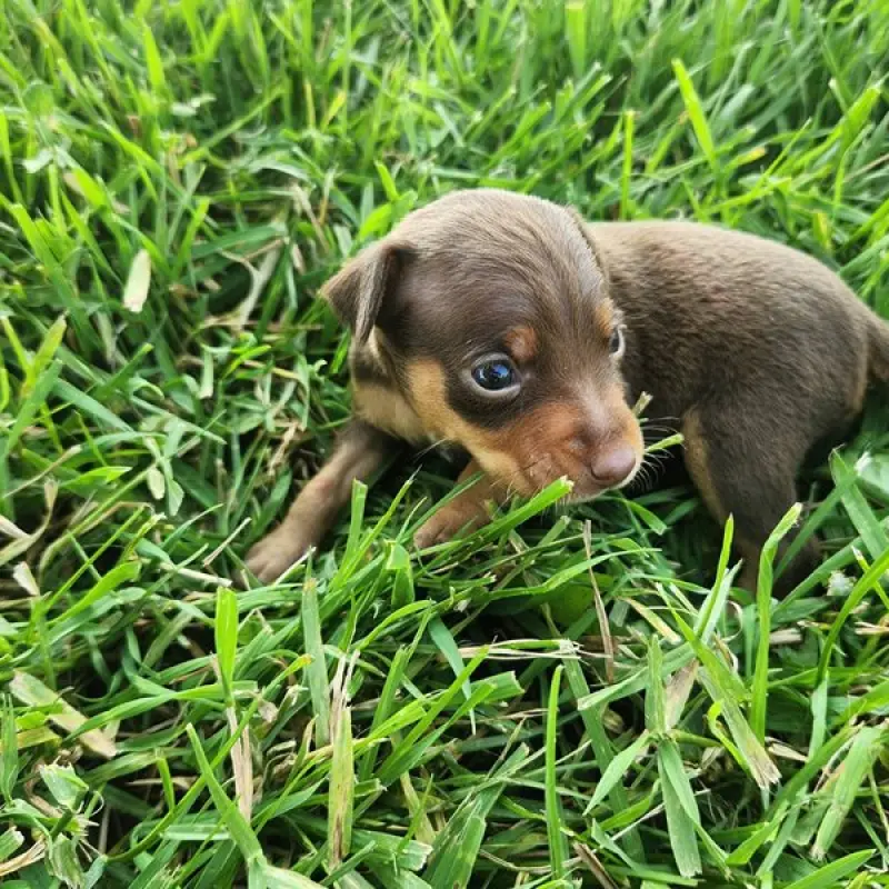 Evelyn | image 5