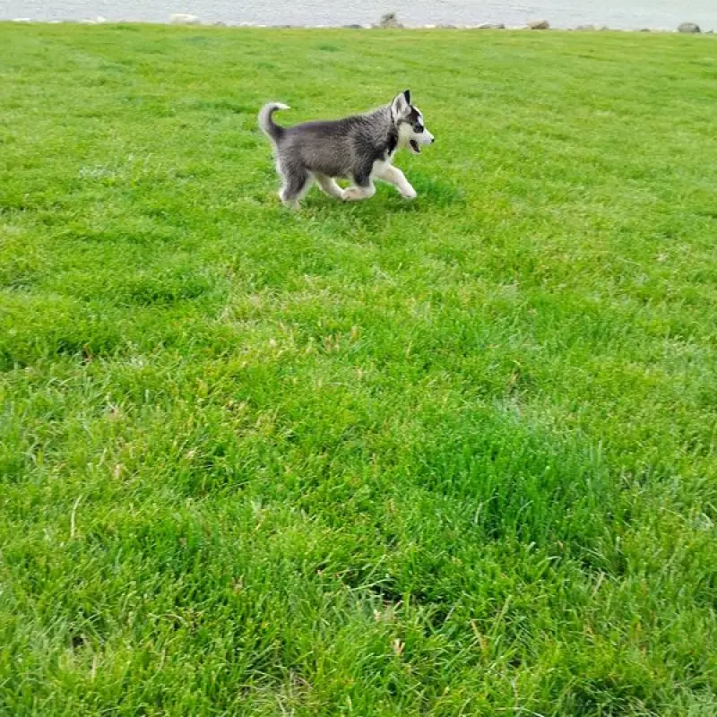 Bonnie | image 5