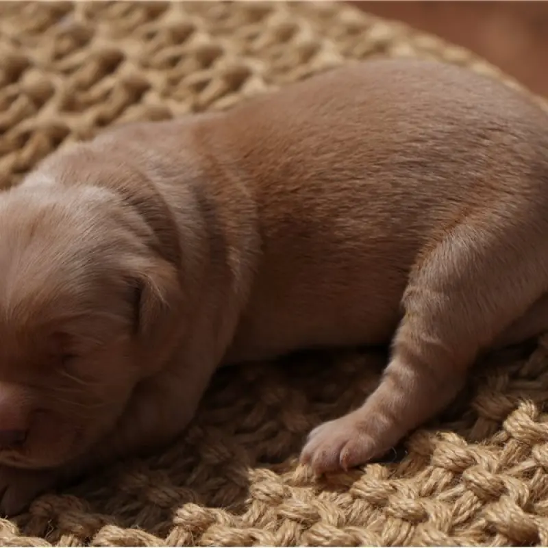 Finn | image 2