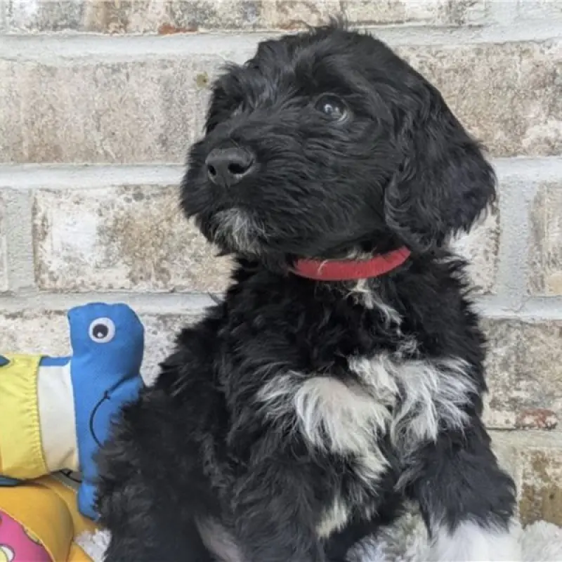 Munchie | image 2