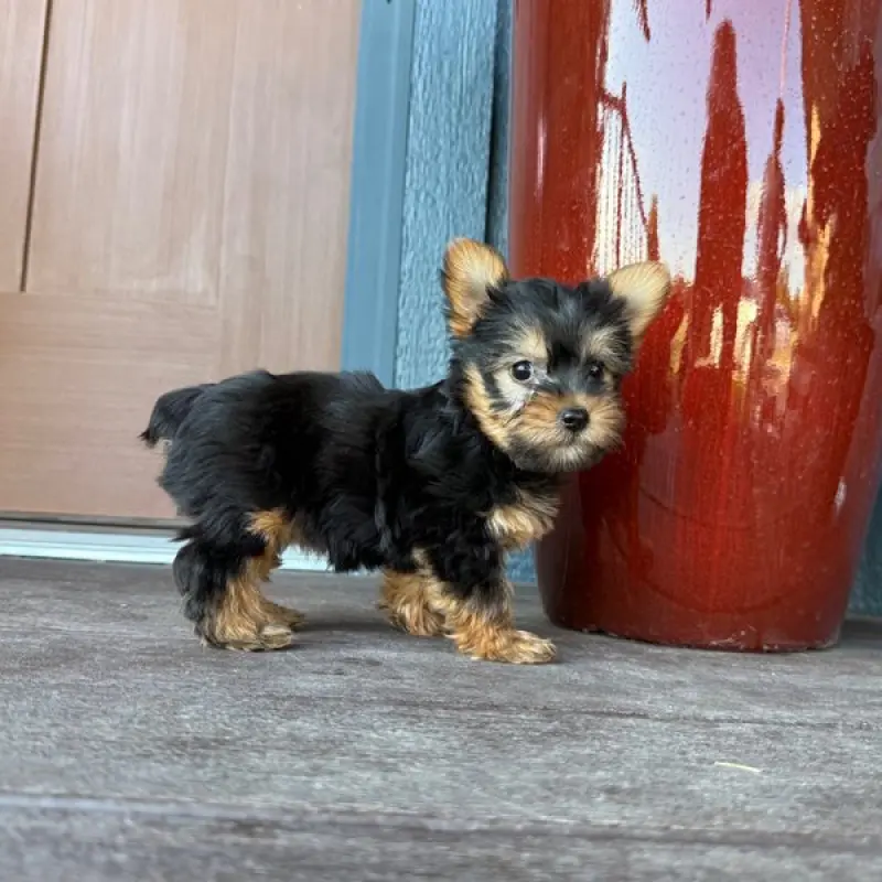 Lillian | image 8