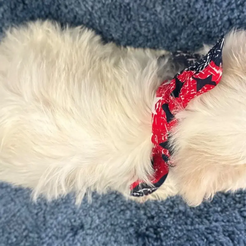 Asher | image 1