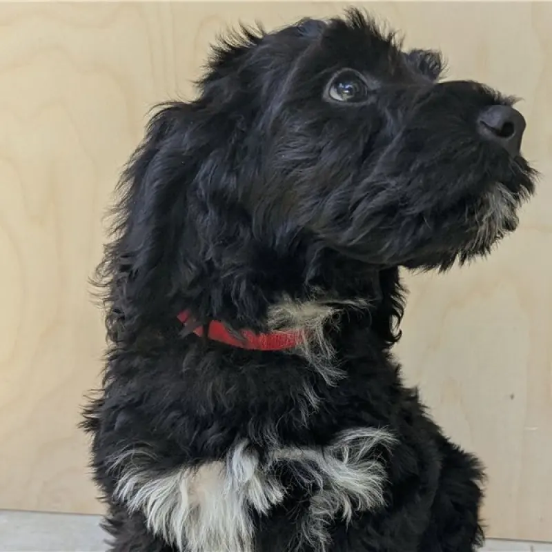 Munchie | image 1