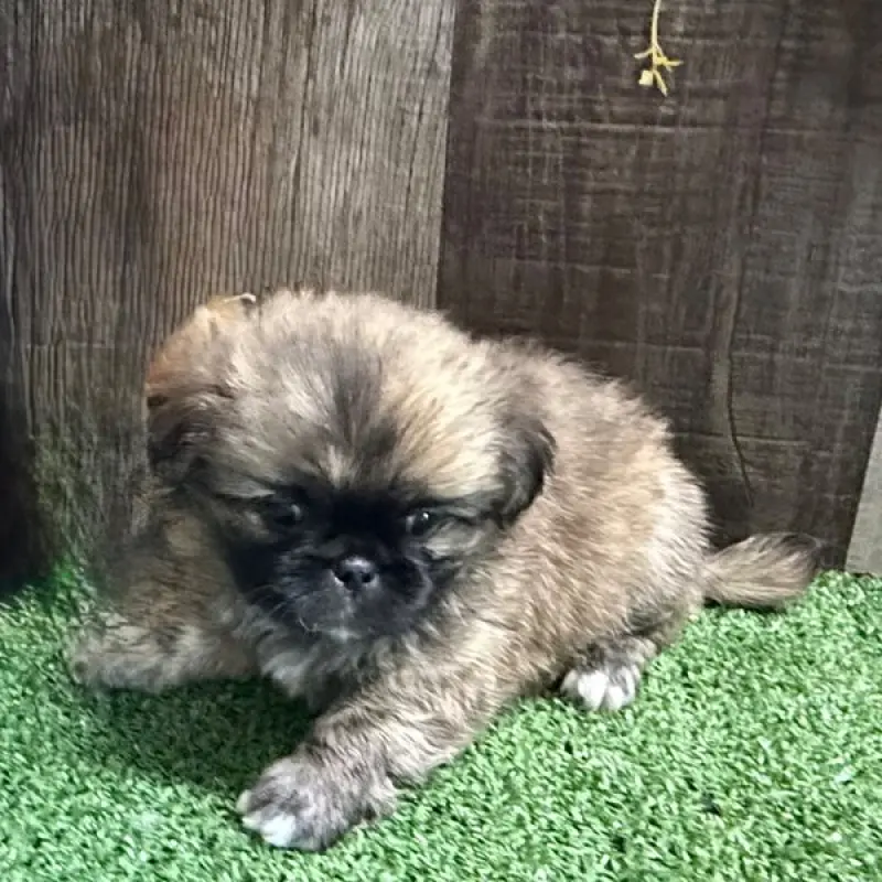 Binky | image 1