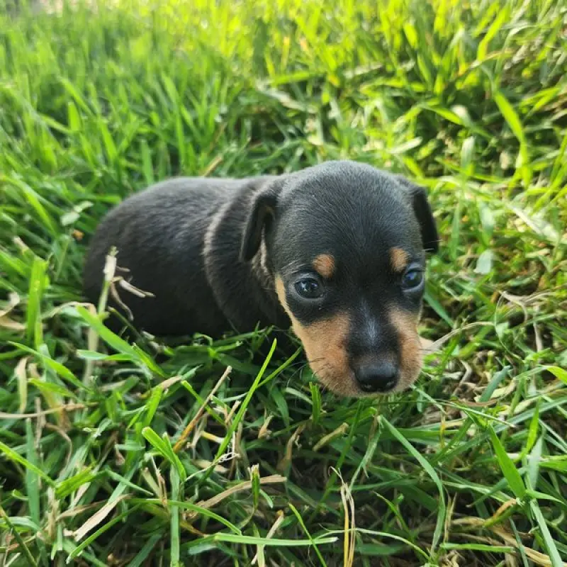 Emma | image 2