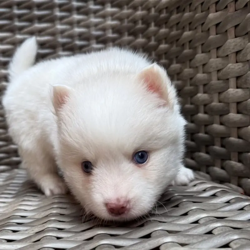 Gabby | image 2
