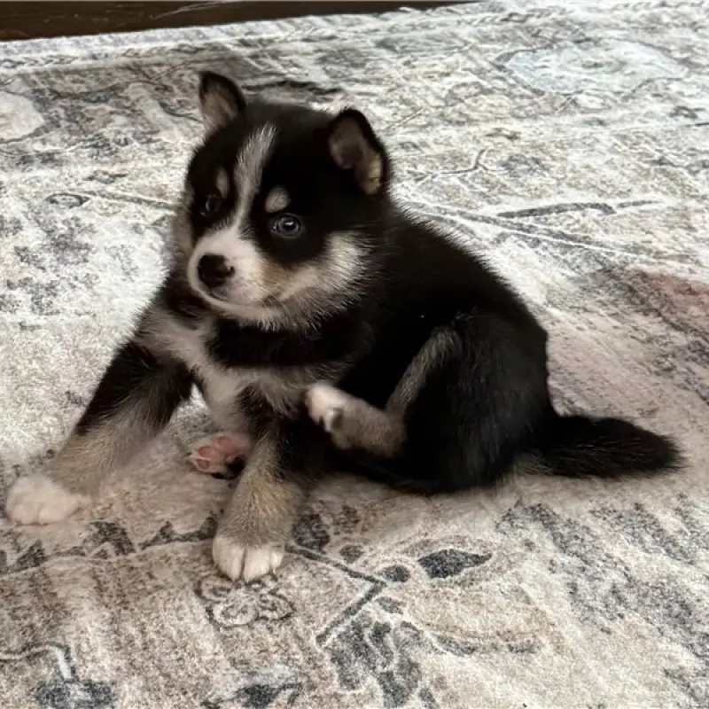 George | image 1