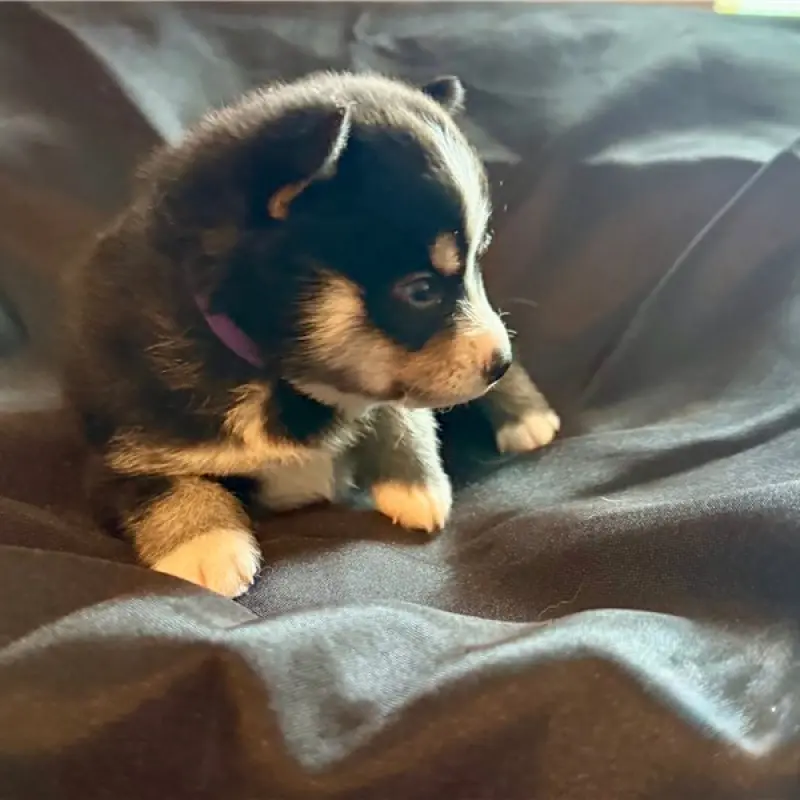 George | image 4