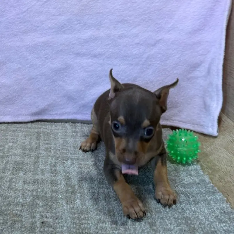 Anita | image 3