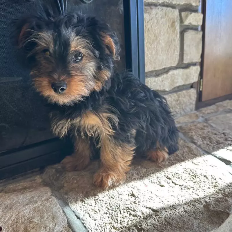 Nigel | image 5