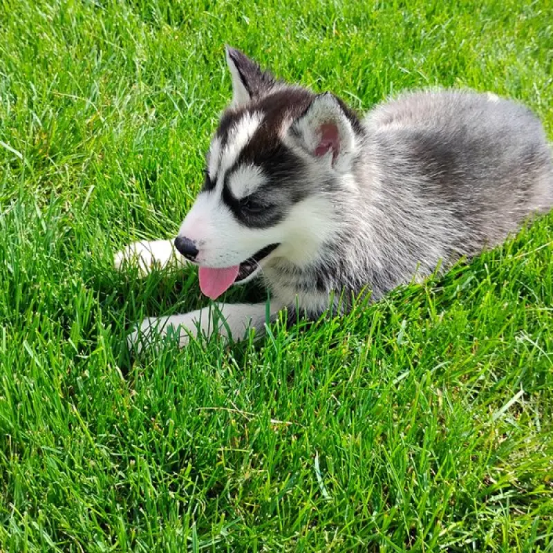 Bonnie | image 6