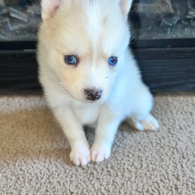 Cynthia | image 2