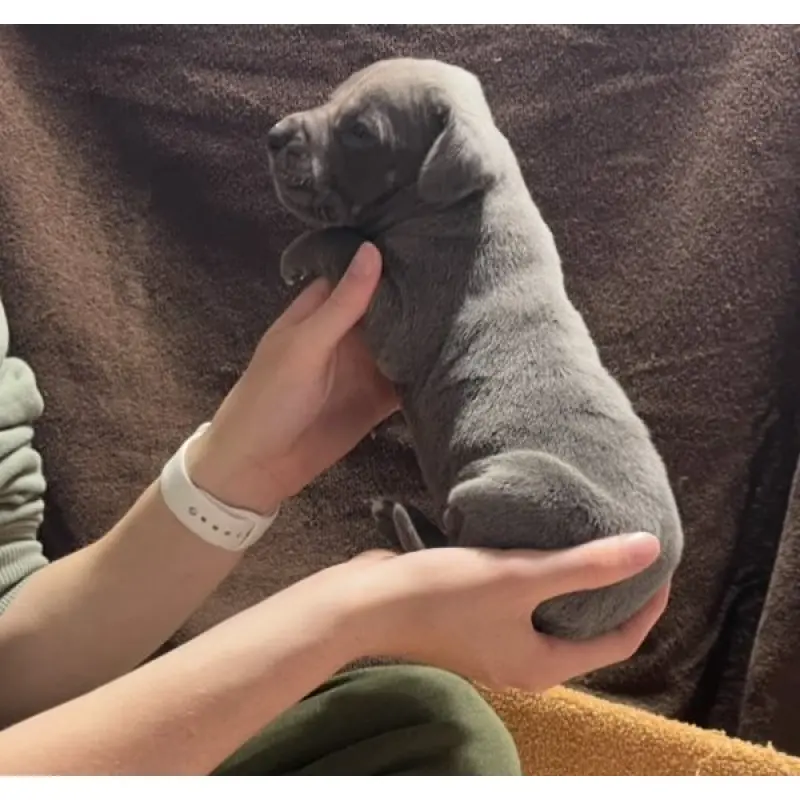 Jerome | image 2
