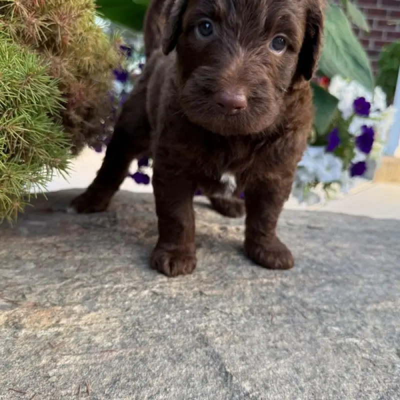 Murdock | image 8