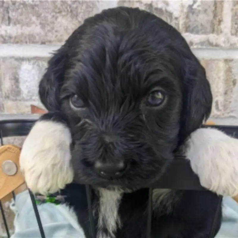 Munchie | image 5