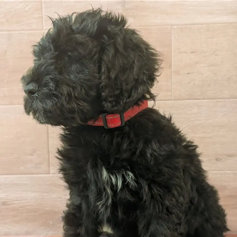 Norm | image 1