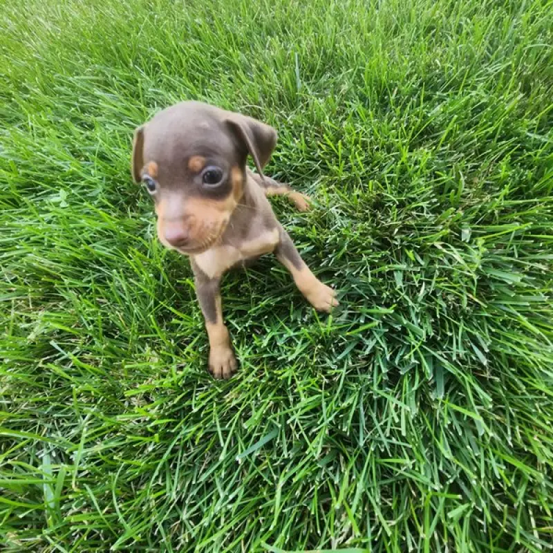 Evelyn | image 3