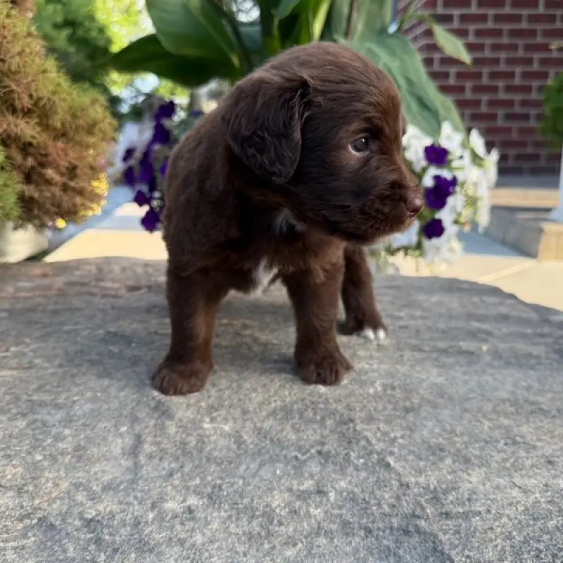George | image 7