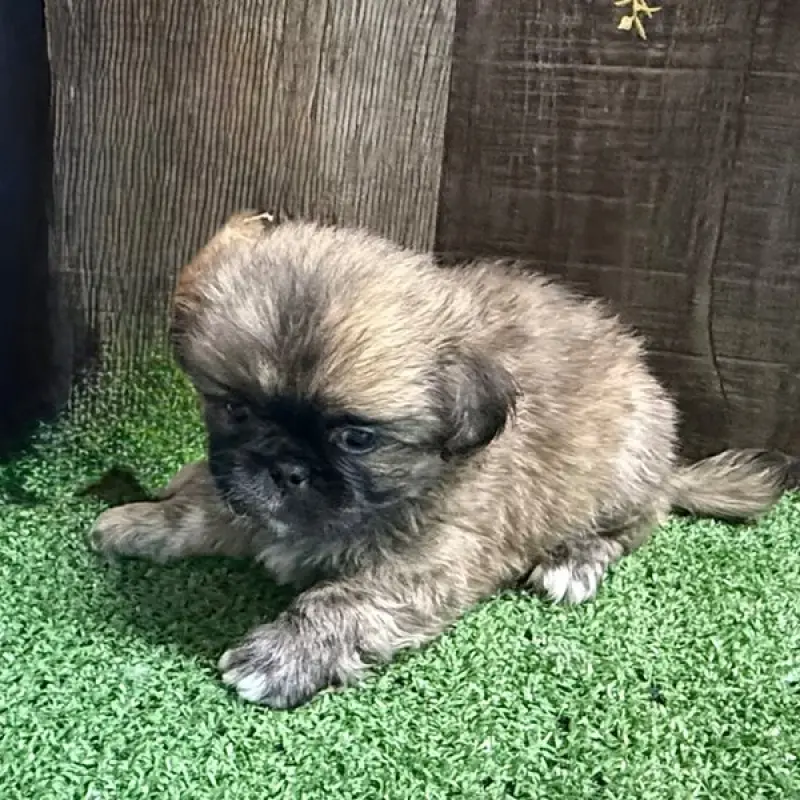 Binky | image 2