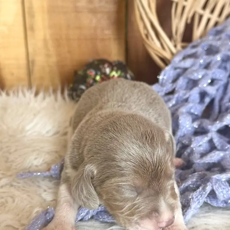 Emma | image 1