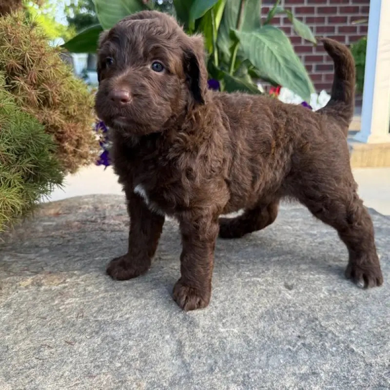 Murdock | image 6
