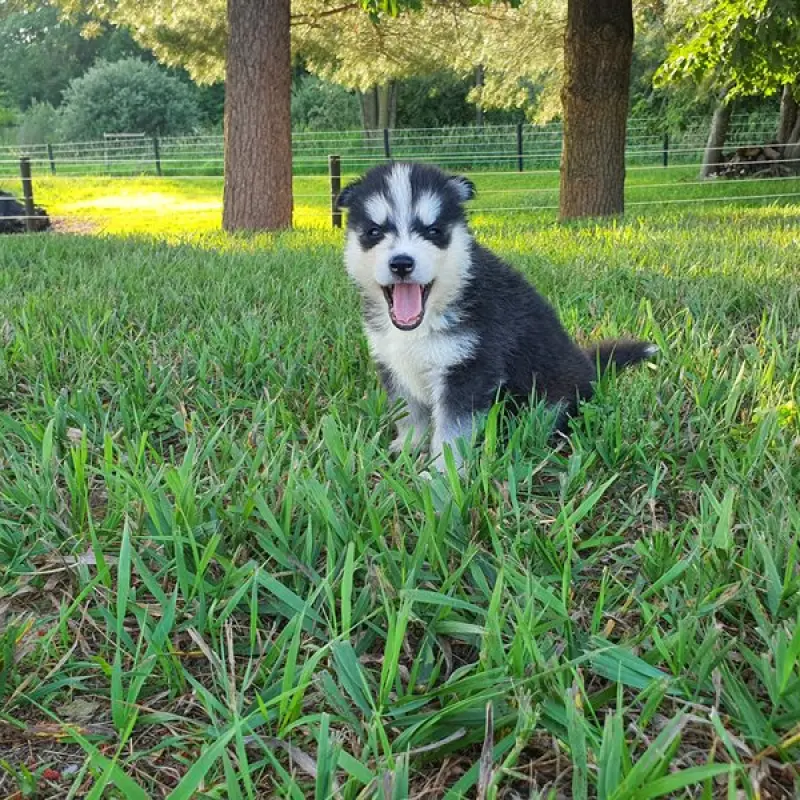 Talia | image 2