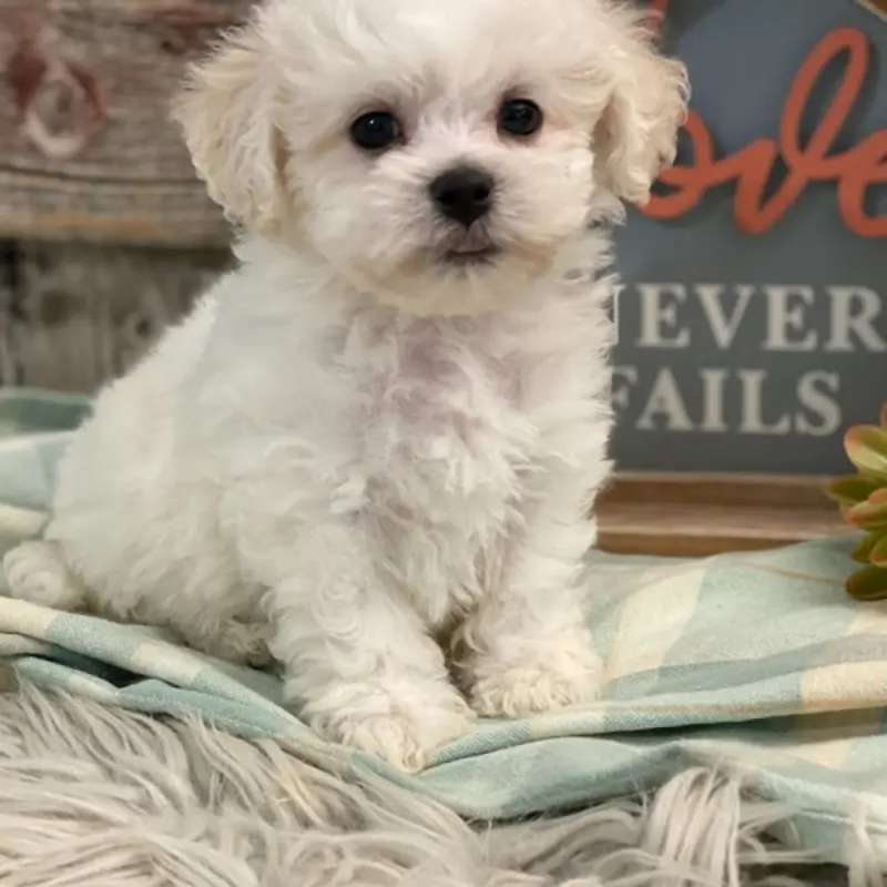Leroy | image 1