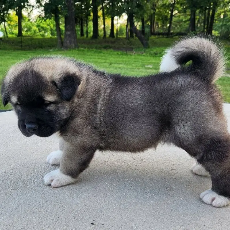 Eric | image 9
