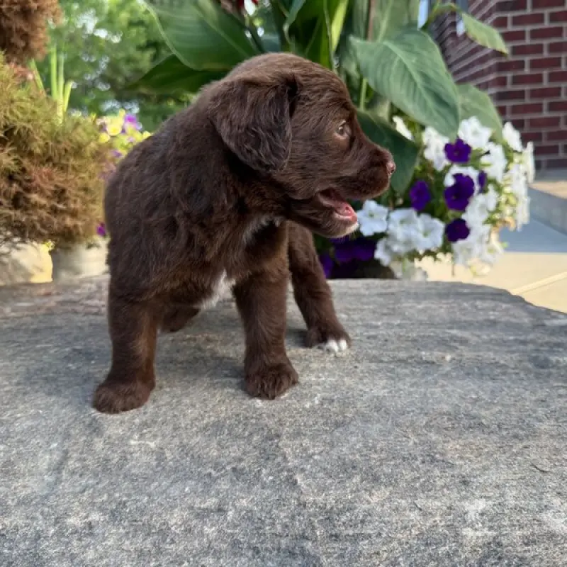 George | image 9