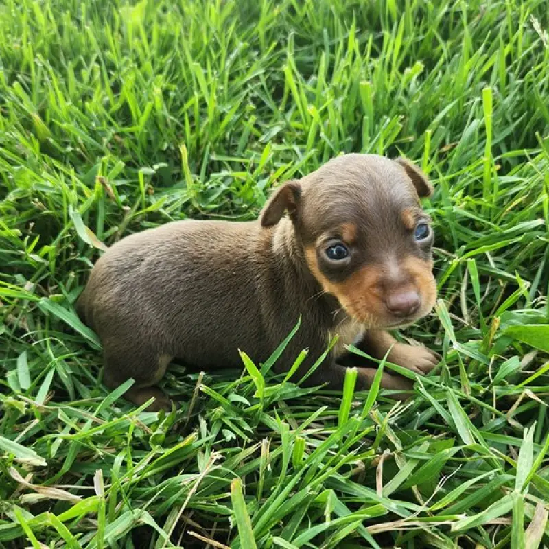 Evelyn | image 6