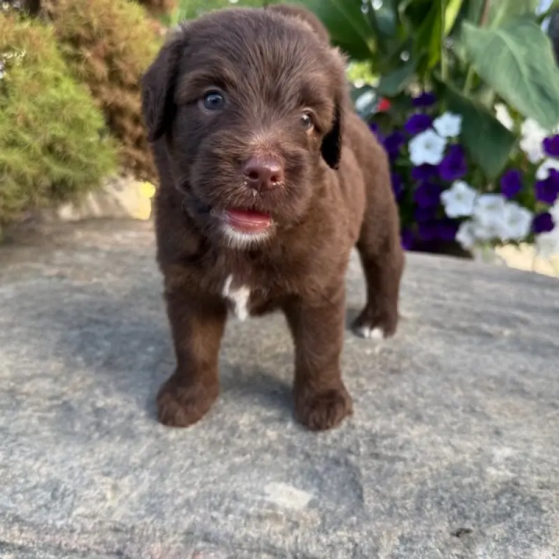 George | image 5
