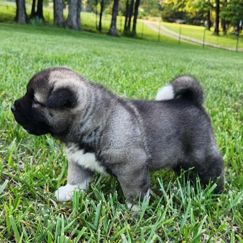 Eric | image 2