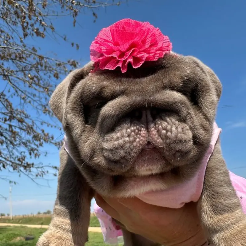 Clara | image 2