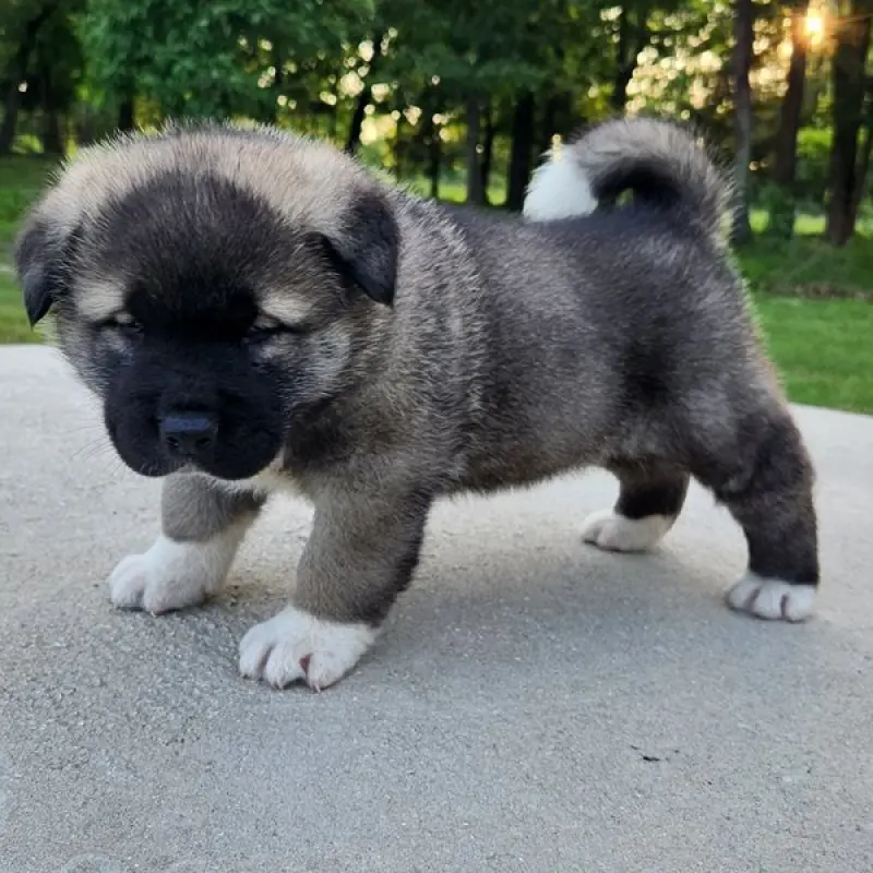 Eric | image 7
