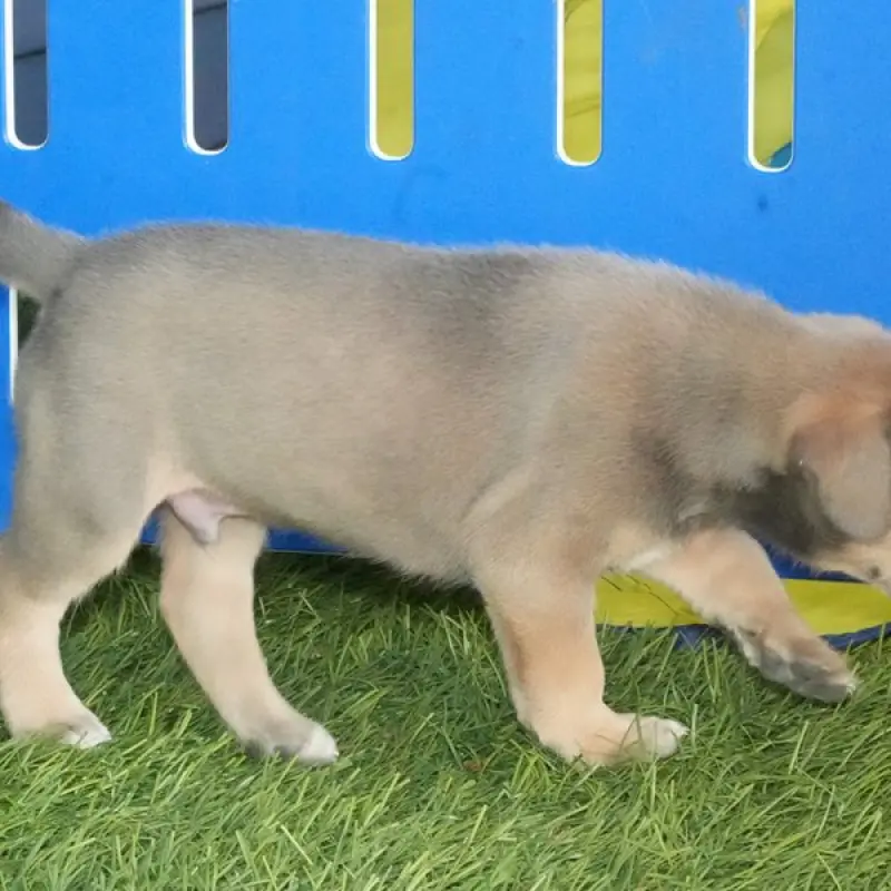 Riley | image 4