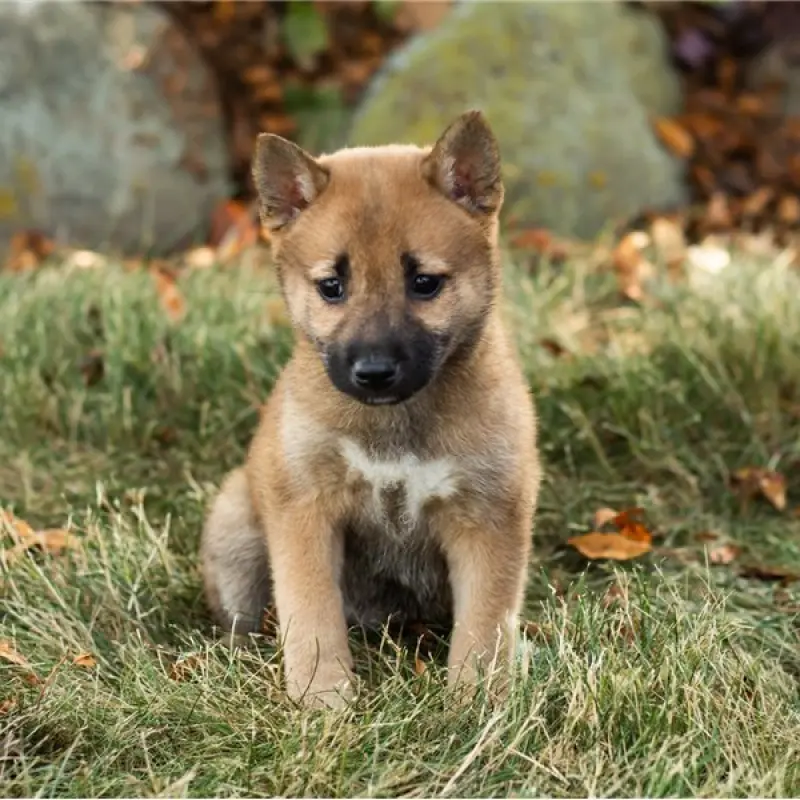 Bonnie | image 1